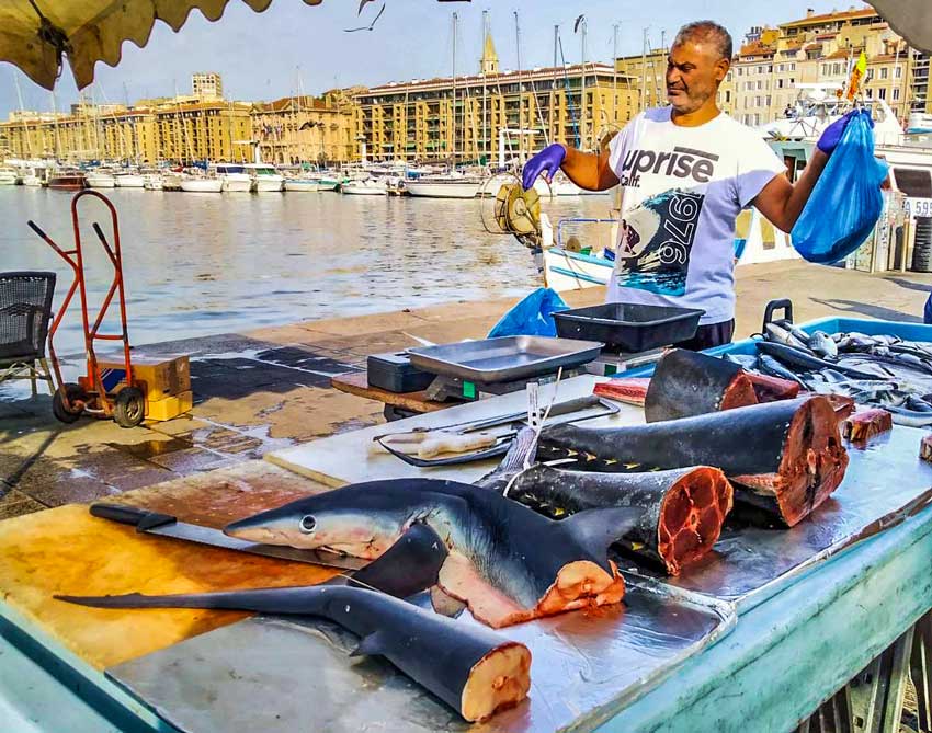 Καρχαρίες προς αγορά στην Μασσαλία