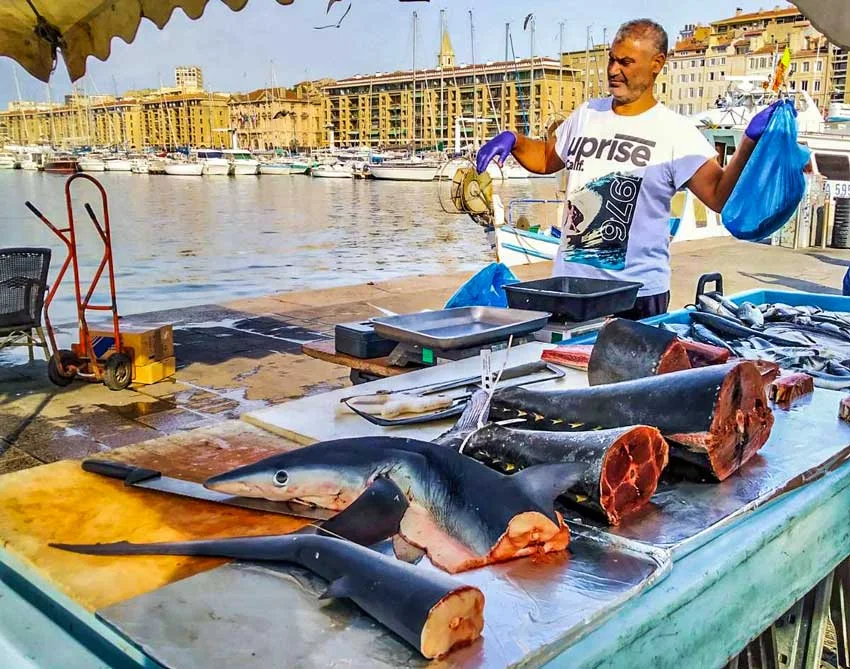 Καρχαρίες προς αγορά στην Μασσαλία