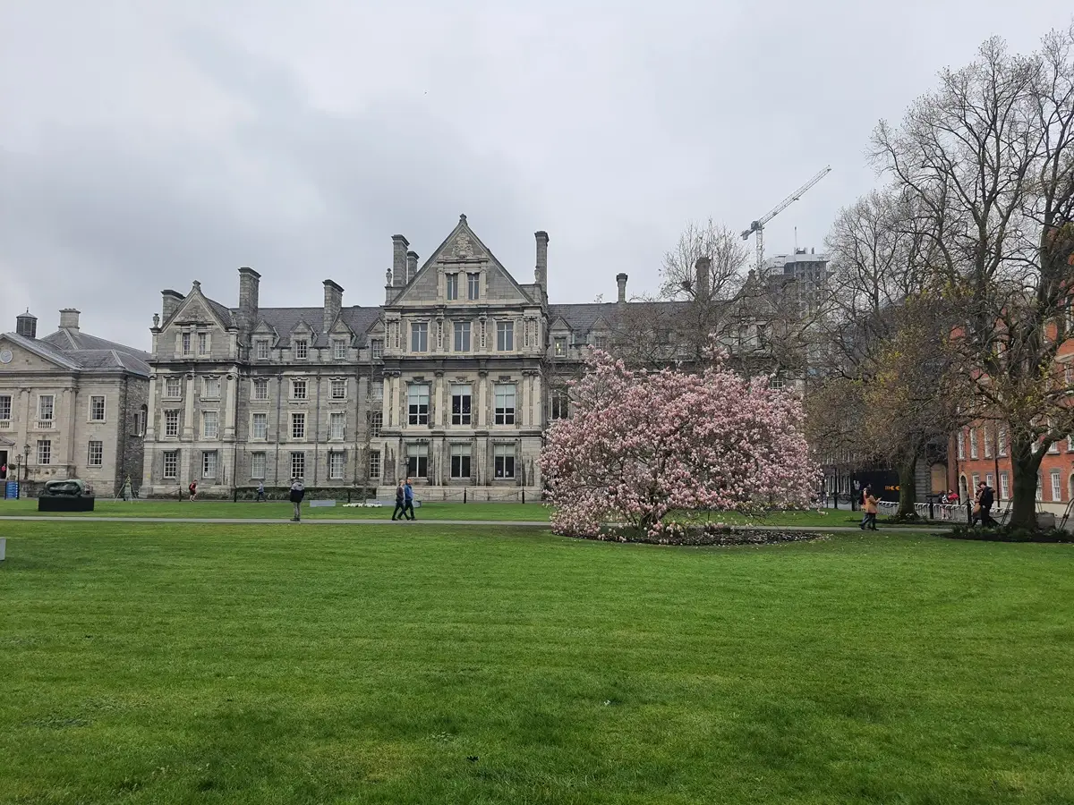 Άνοιξη στον κήπο του Trinity College στο Δουβλίνο, με καταπράσινο γρασίδι και ανθισμένο ροζ δεντρο δίπλα στο ιστορικό κτίριο του πανεπιστημίου.