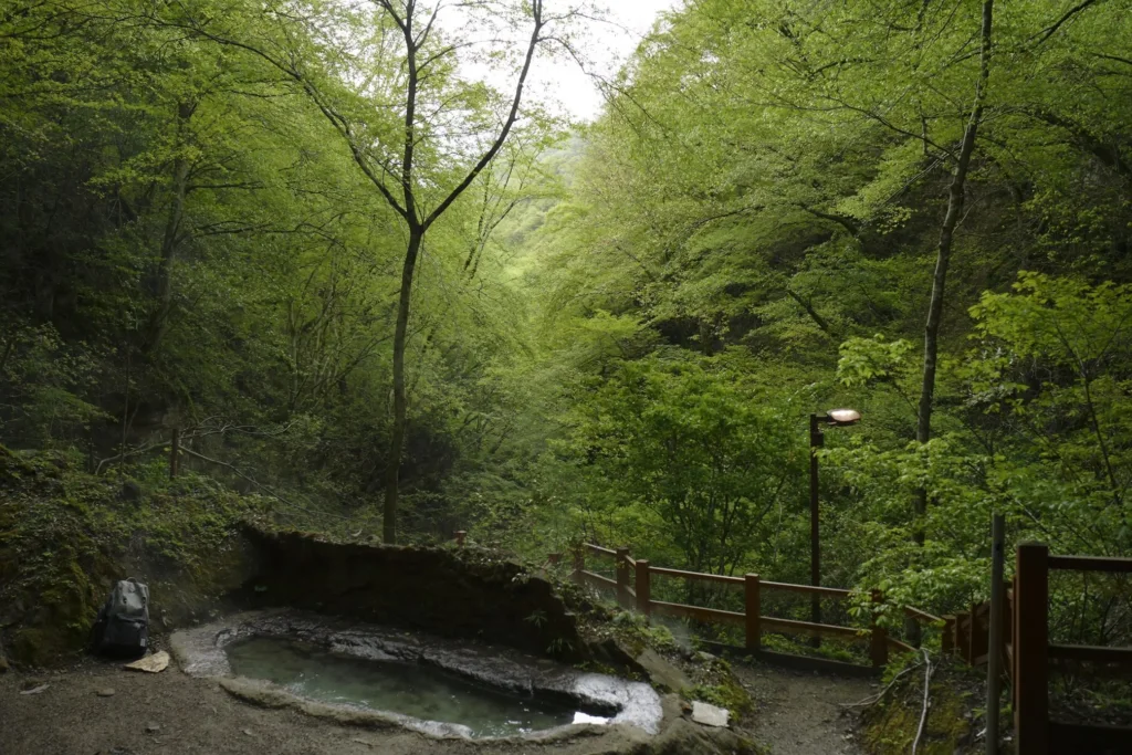 An open-air onsen in the forest, Japan