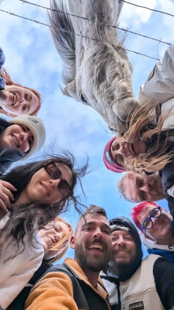 A group selfie with an Icelandic horse leaning in